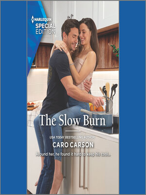 cover image of The Slow Burn